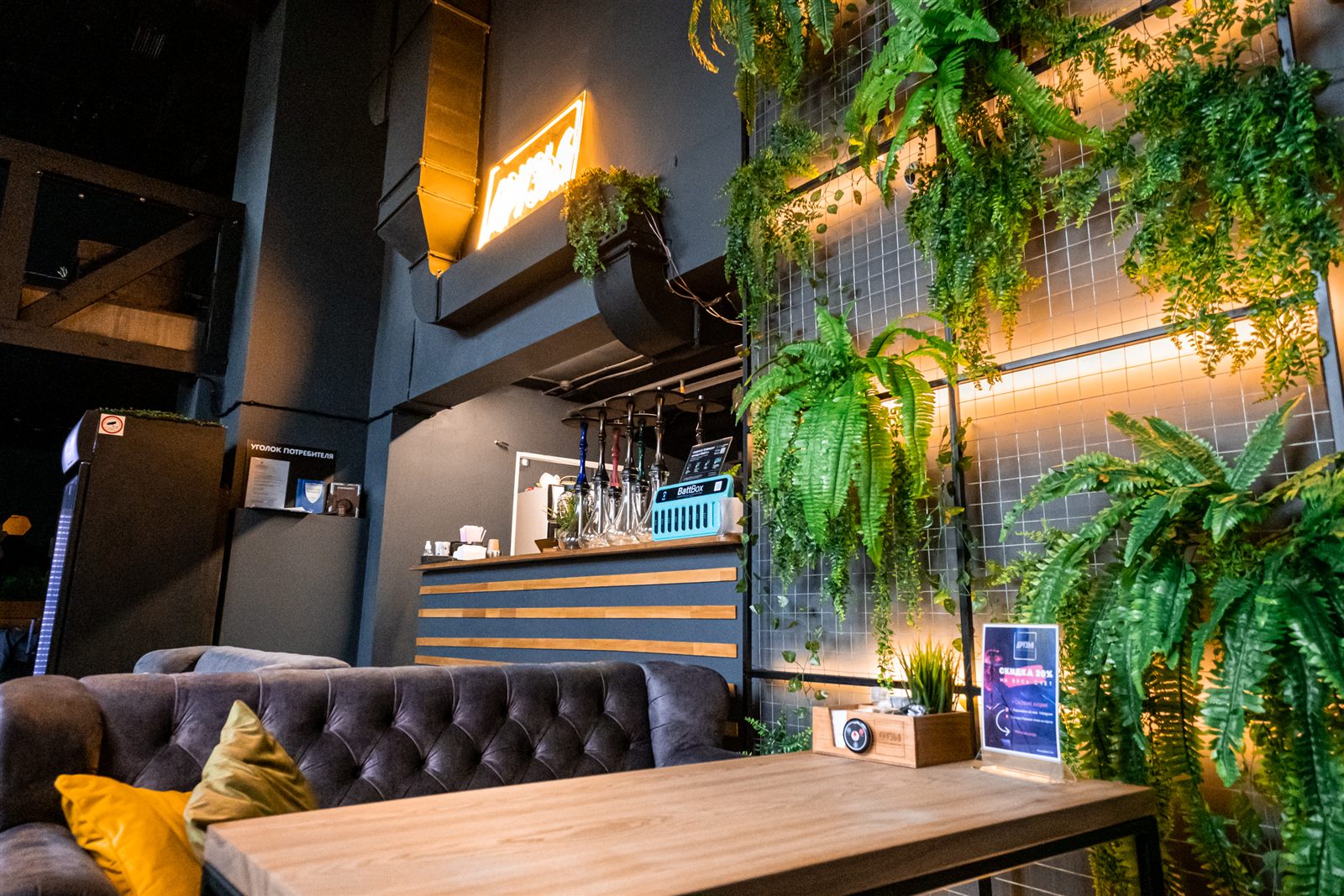 Тёплый свет бара, зелёные растения и мягкие диваны в ДРУЗЬЯ Lounge